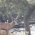 Cortijo La Priorita Villa Cordoba