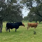 Cortijo La Priorita Villa *