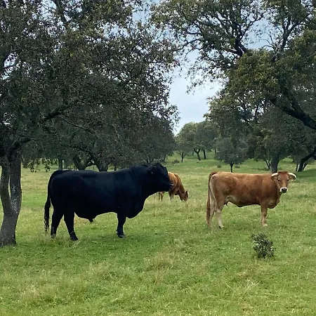 Cortijo La Priorita Villa *