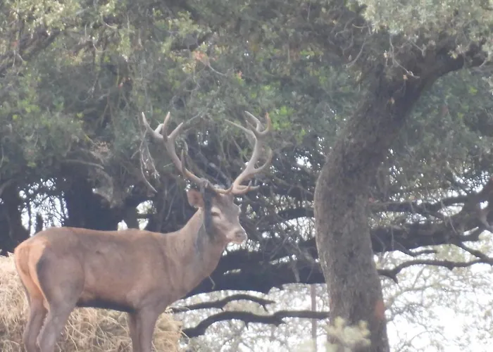 Cortijo La Priorita Вилла Кордова