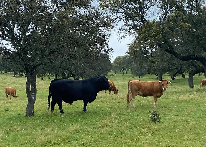 Cortijo La Priorita Βίλα *